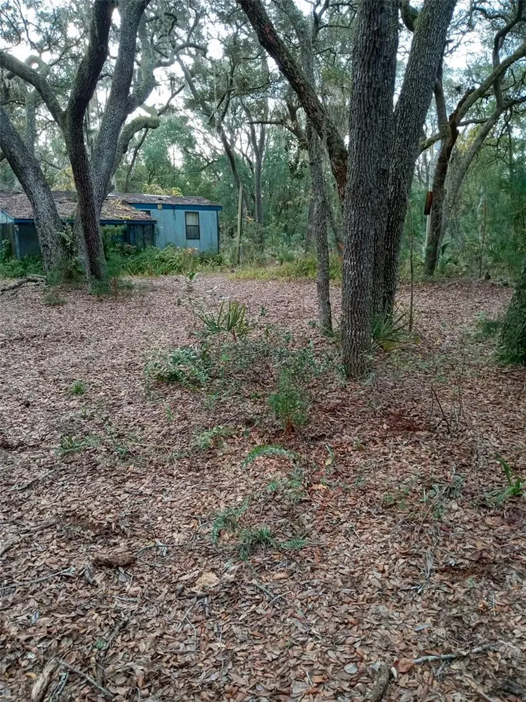 28093 SE Highway 42 Umatilla FL 32784