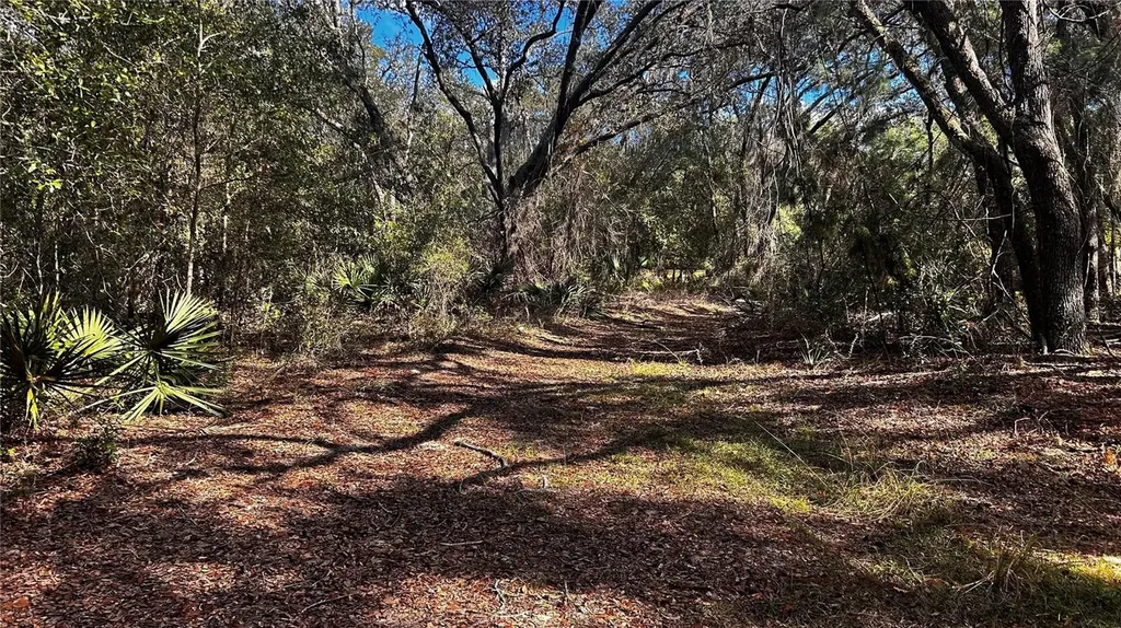 28093 SE Highway 42 Umatilla FL 32784