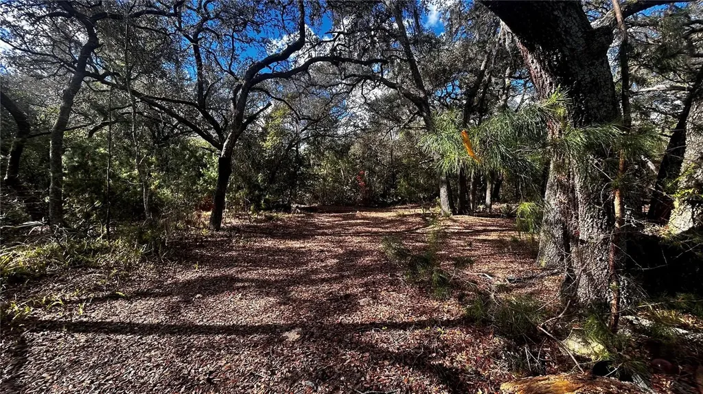 28093 SE Highway 42 Umatilla FL 32784