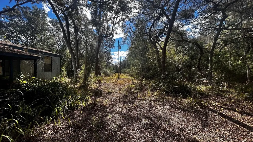 28093 SE Highway 42 Umatilla FL 32784