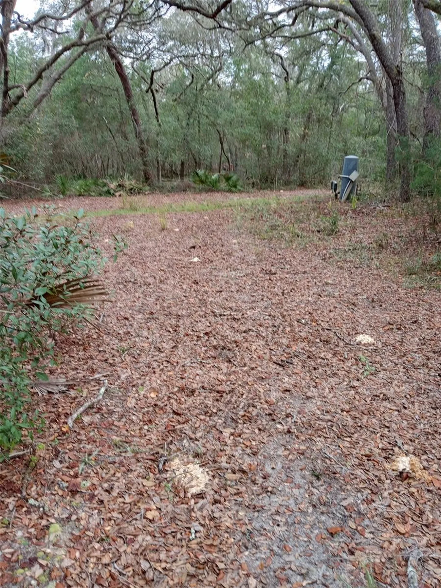 28093 SE Highway 42 Umatilla FL 32784