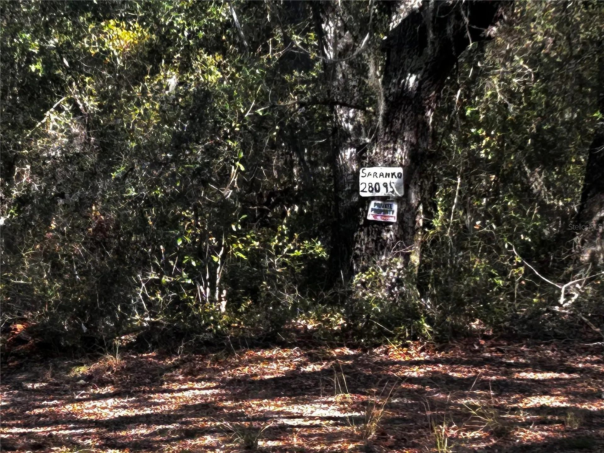 28093 SE Highway 42 Umatilla FL 32784