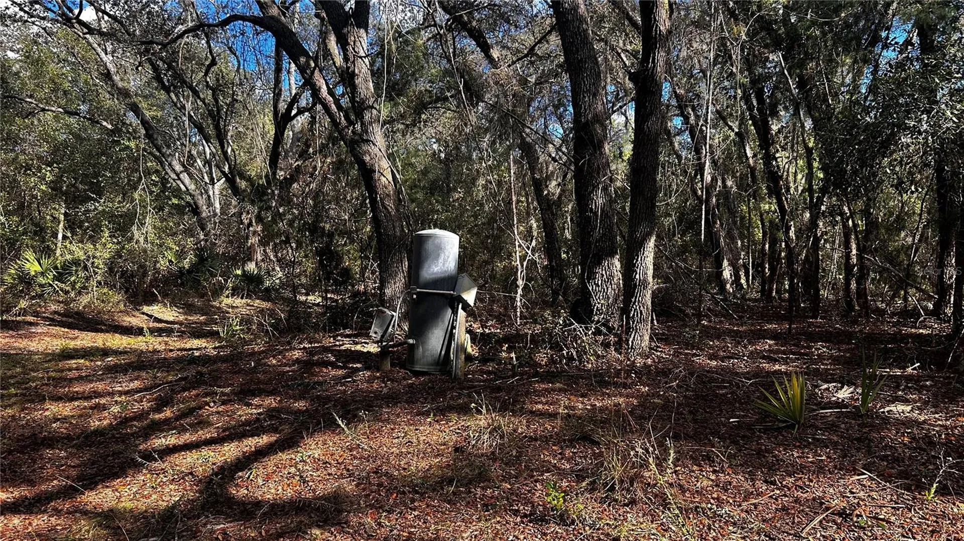 28093 SE Highway 42 Umatilla FL 32784