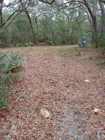 28093 SE Highway 42 Umatilla FL 32784