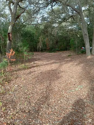 28093 SE Highway 42 Umatilla FL 32784