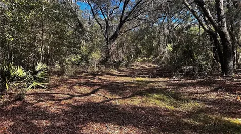 28093 SE Highway 42 Umatilla FL 32784