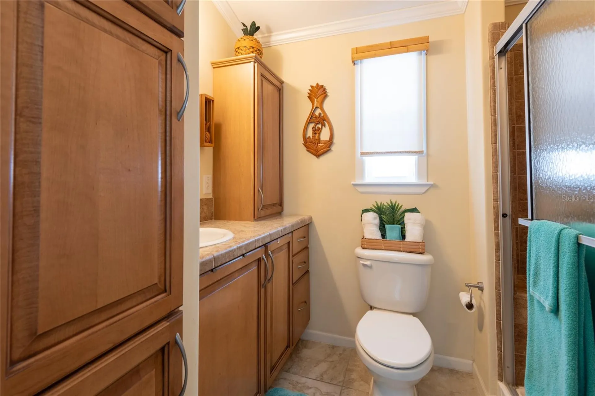 20300 Leonard Road Lutz FL 33558