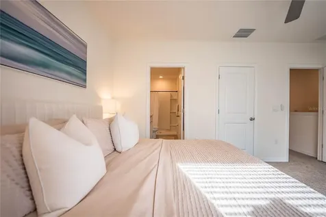 3551 Marigold Patch Court Plant City FL 33565