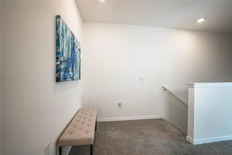 3551 Marigold Patch Court Plant City FL 33565