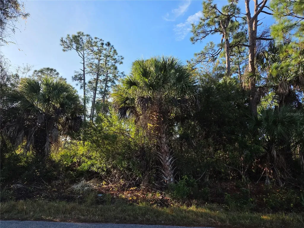 23507 Spencer Court Punta Gorda FL 33980