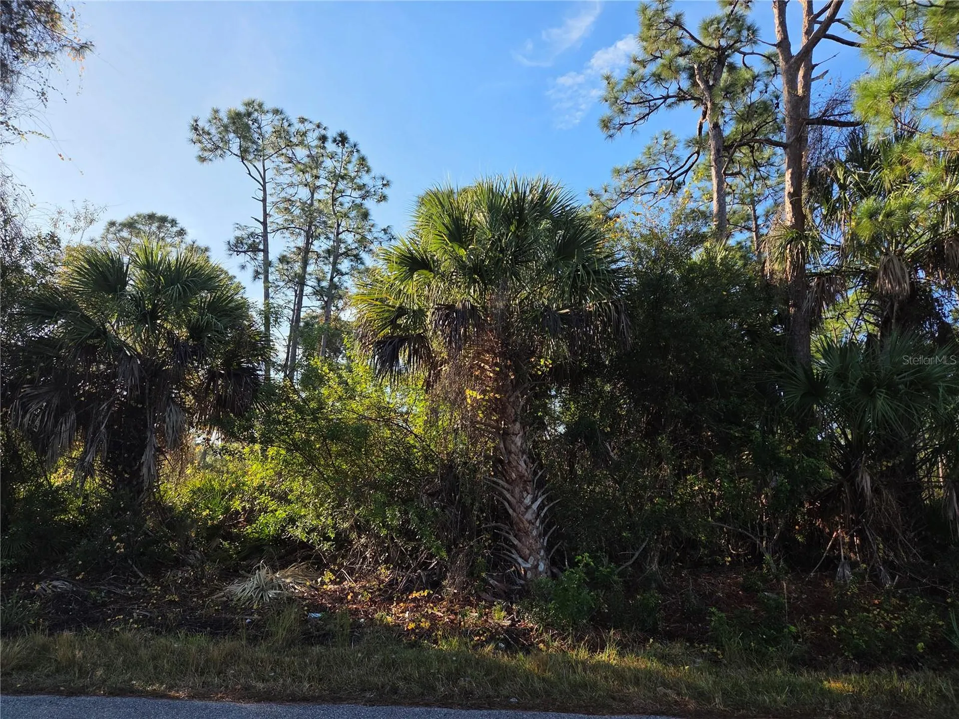 23507 Spencer Court Punta Gorda FL 33980