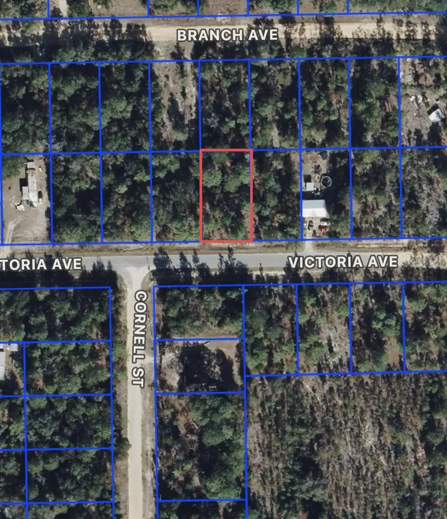 0 Unassigned Interlachen FL 32148