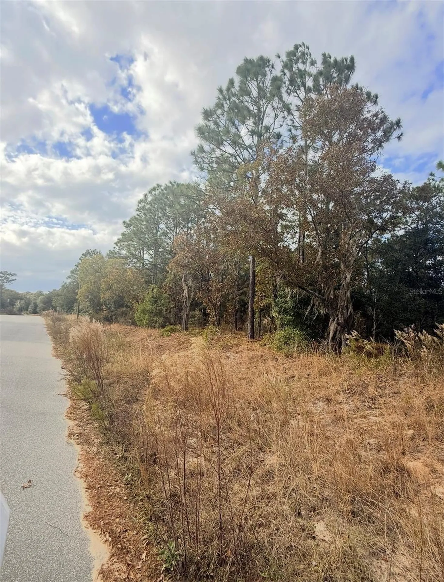 0 Unassigned Interlachen FL 32148