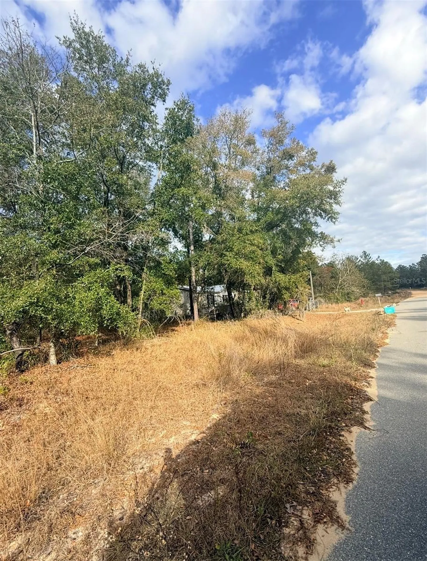 0 Unassigned Interlachen FL 32148