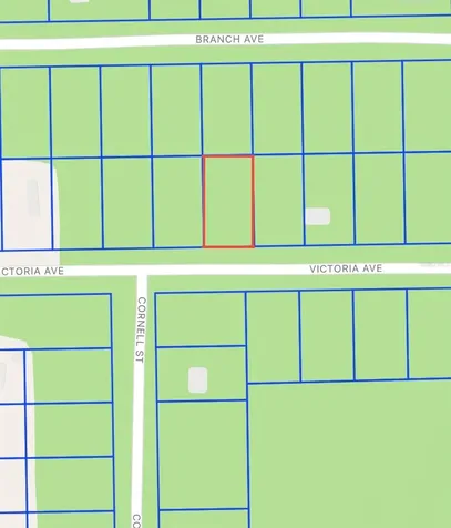 0 Unassigned Interlachen FL 32148