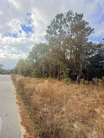 0 Unassigned Interlachen FL 32148