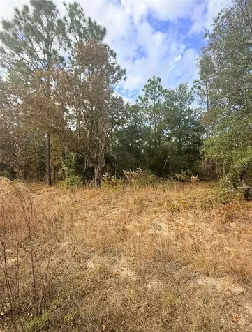 0 Unassigned Interlachen FL 32148