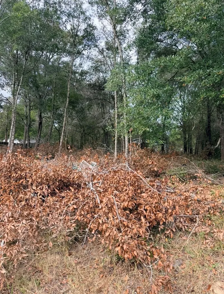150 1st Way Interlachen FL 32148