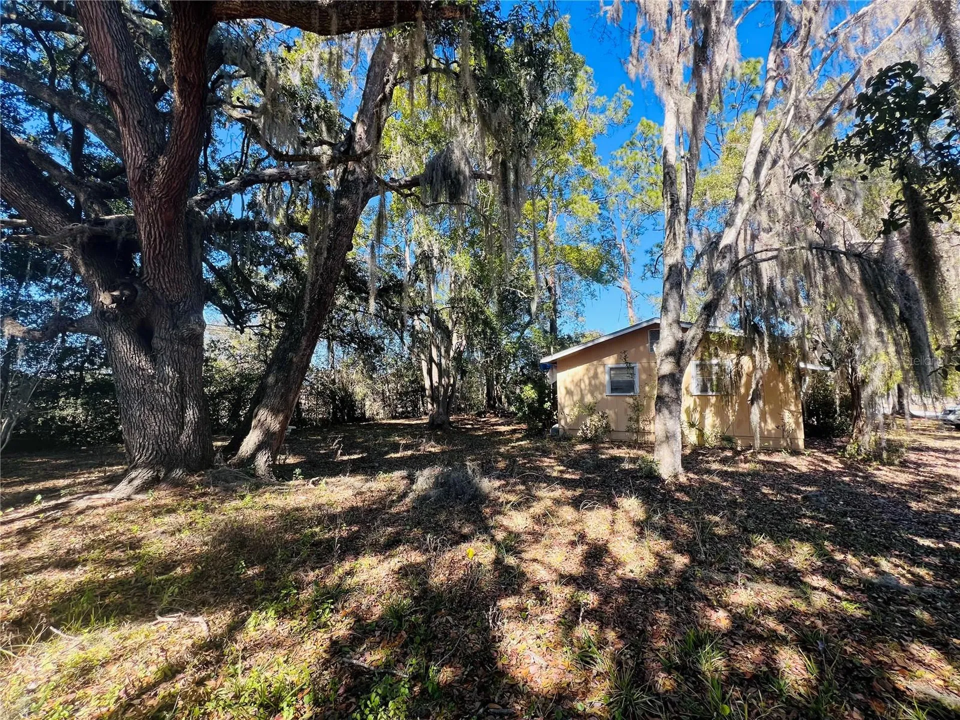 1004 NE 22nd Street Gainesville FL 32641