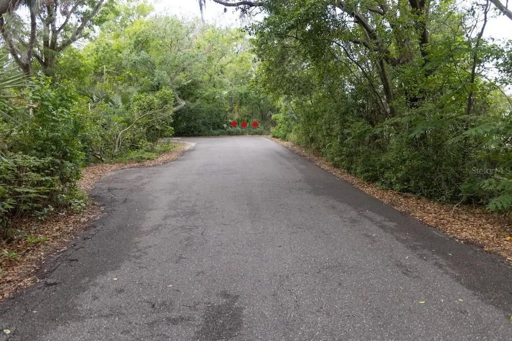 544 Farnum Drive Tarpon Springs FL 34689