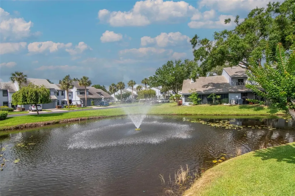4234 Brentwood Park Circle Tampa FL 33624