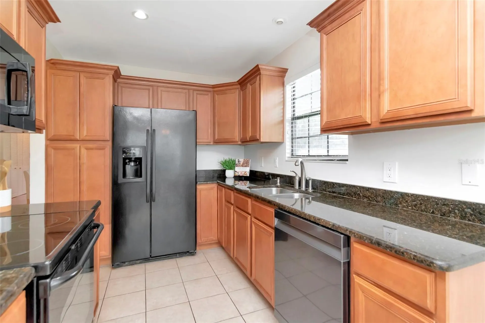 4234 Brentwood Park Circle Tampa FL 33624