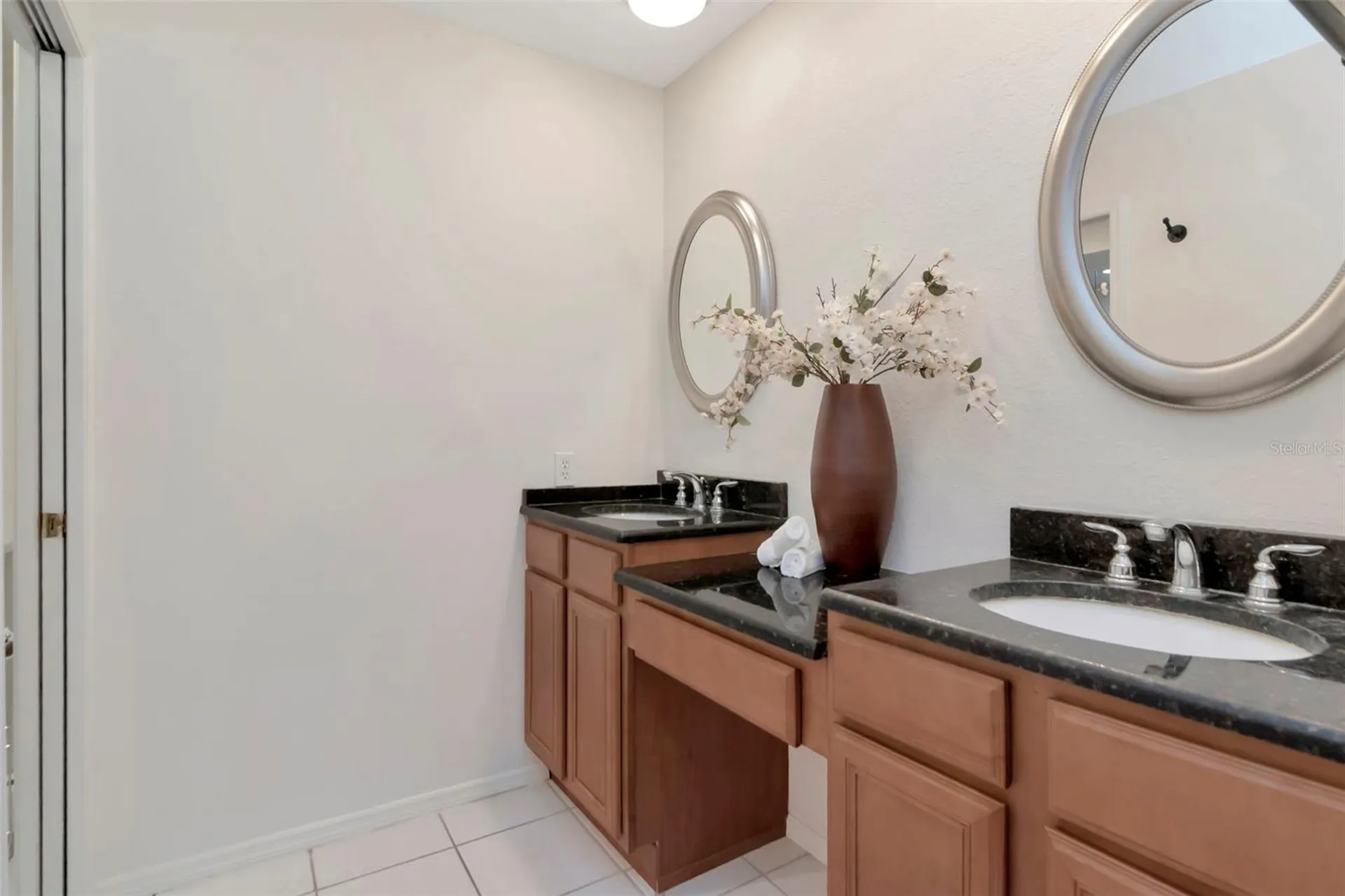 4234 Brentwood Park Circle Tampa FL 33624