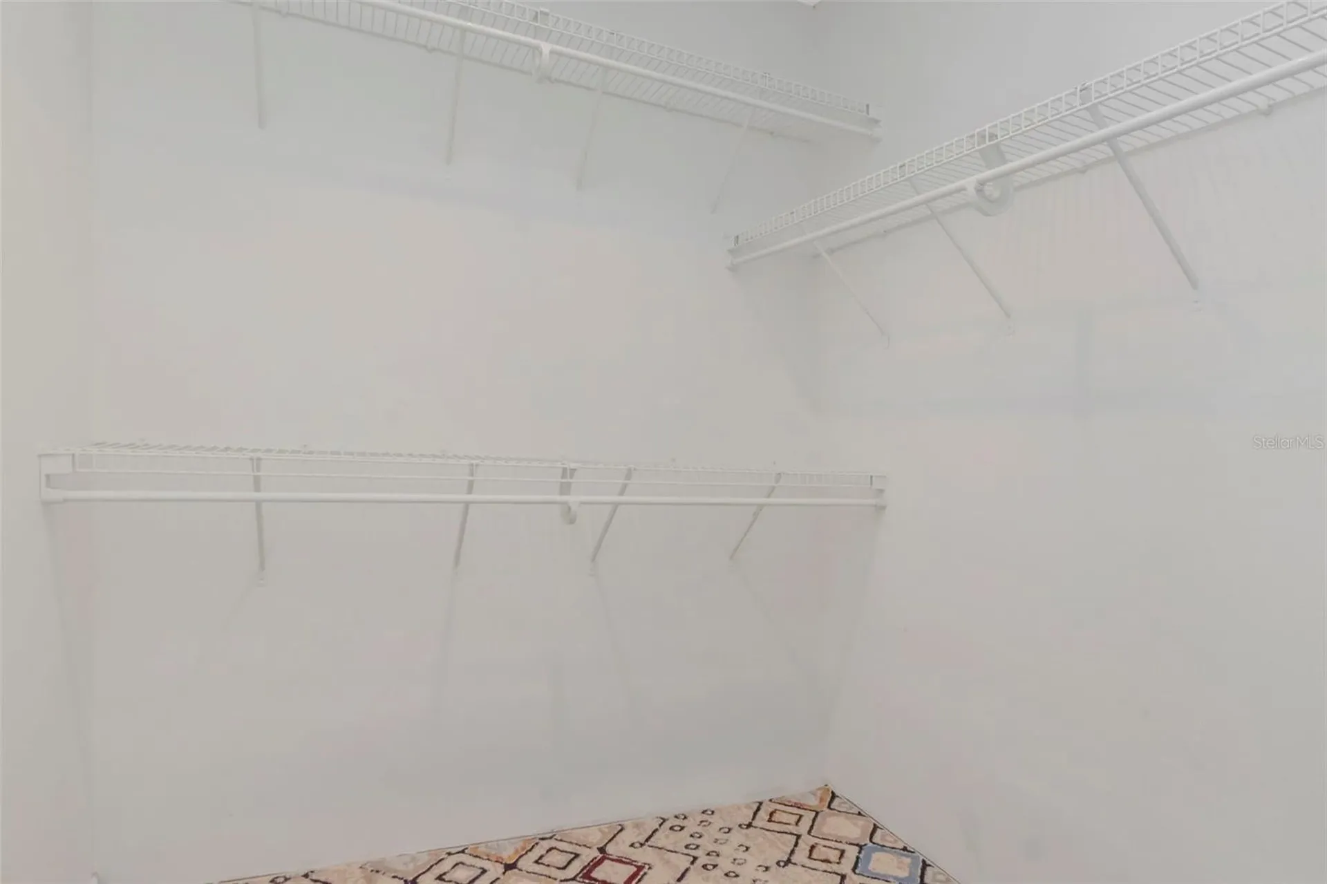 4234 Brentwood Park Circle Tampa FL 33624