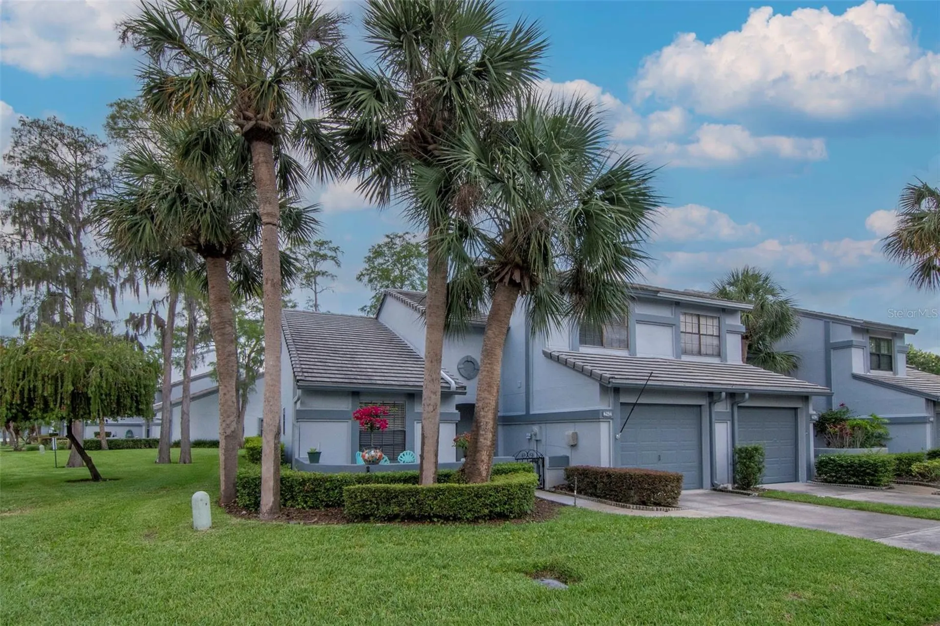 4234 Brentwood Park Circle Tampa FL 33624