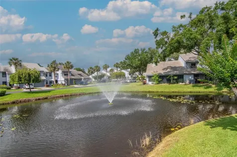 4234 Brentwood Park Circle Tampa FL 33624