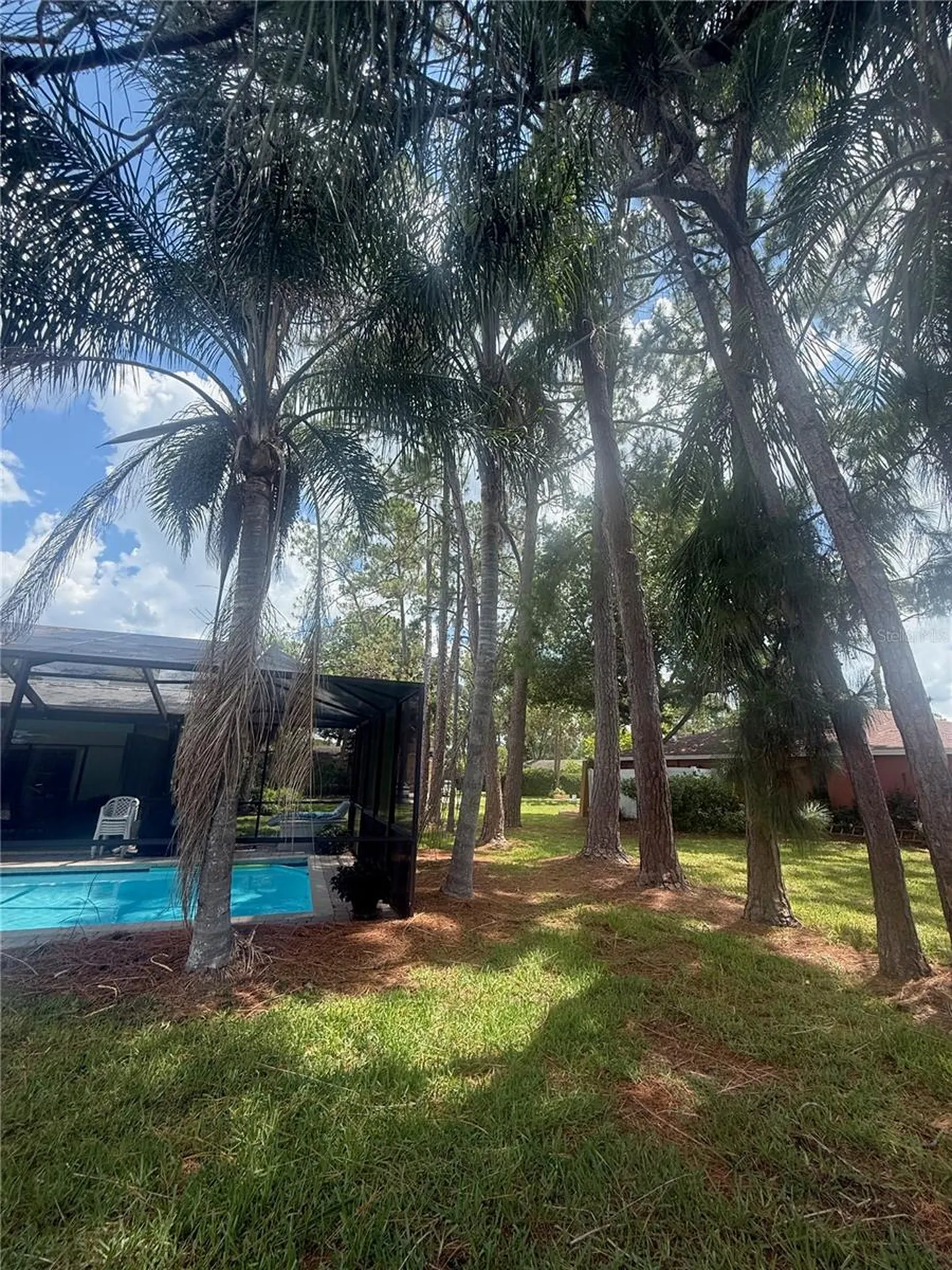 2215 Toniwood Lane Palm Harbor FL 34685