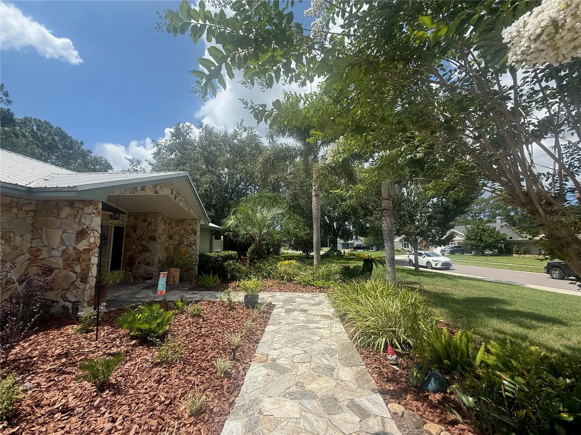 2215 Toniwood Lane Palm Harbor FL 34685