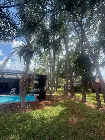 2215 Toniwood Lane Palm Harbor FL 34685