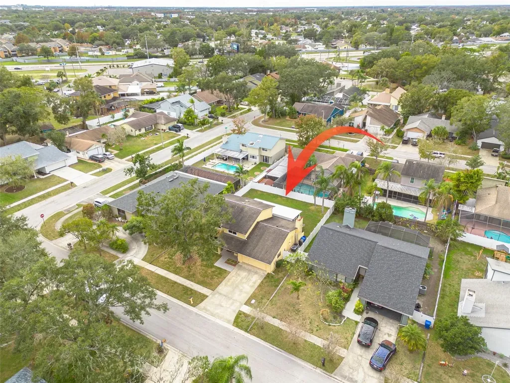 10904 Autumn Oak Place Tampa FL 33618