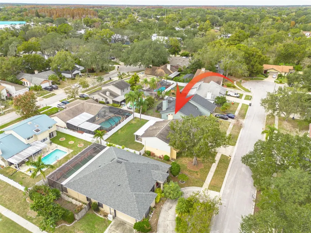 10904 Autumn Oak Place Tampa FL 33618