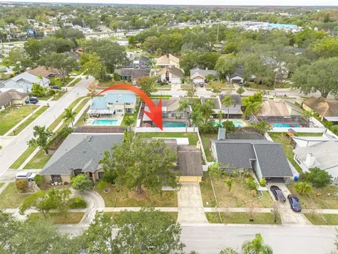 10904 Autumn Oak Place Tampa FL 33618
