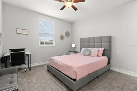 4745 Tramanto Lane Wesley Chapel FL 33543