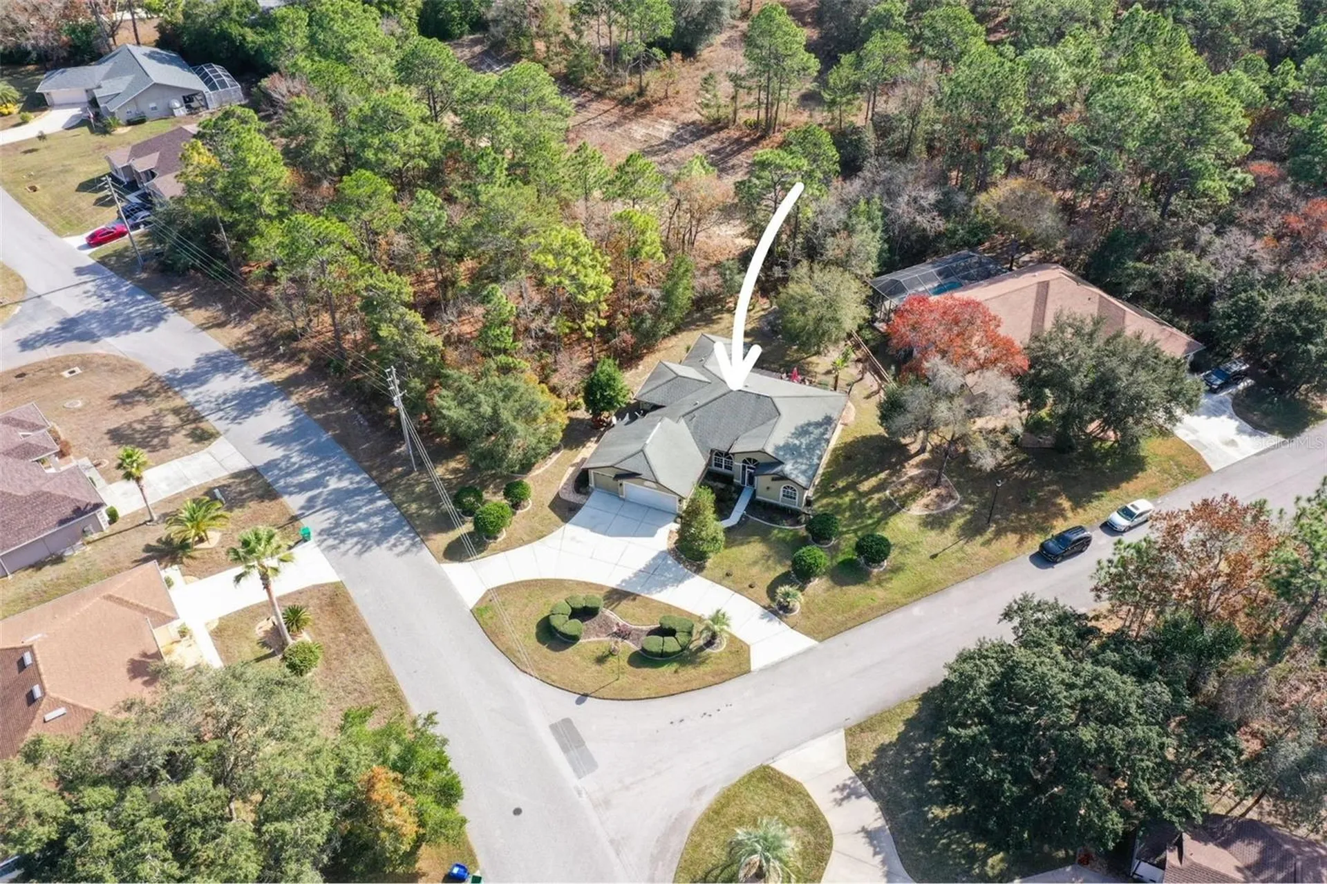 1 Plumbago Drive Homosassa FL 34446