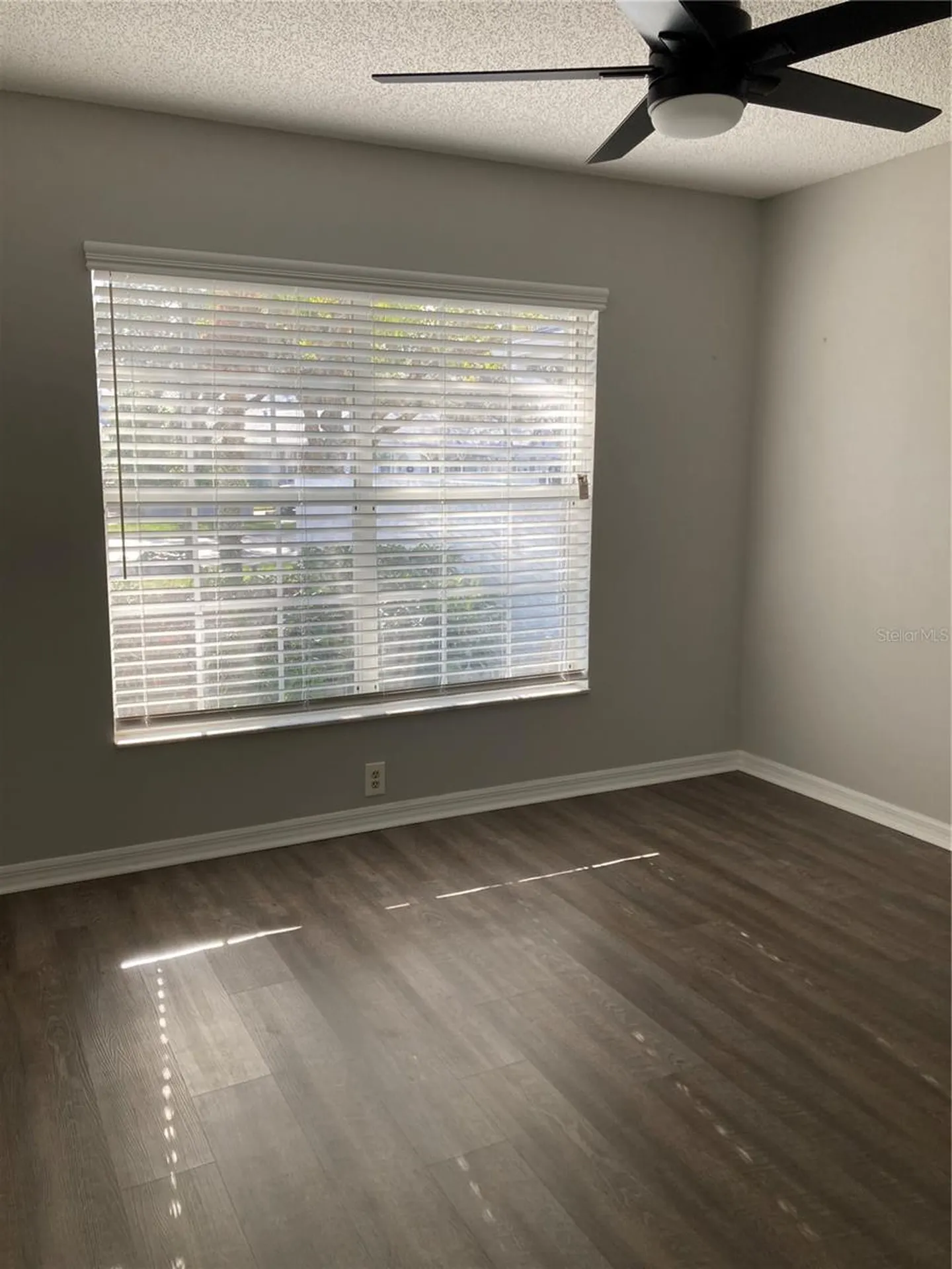 2907 Featherstone Drive Holiday FL 34691