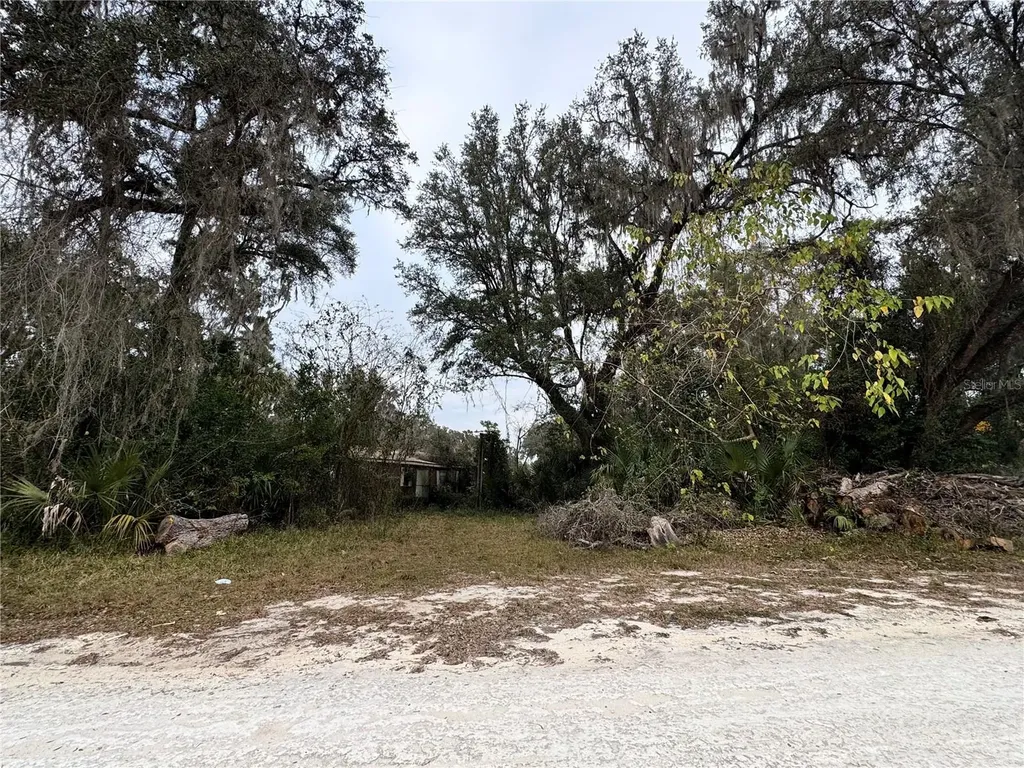 291 SE 81st Street Ocala FL 34480