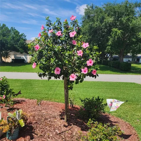 16 Meadowlake Circle S Lake Placid FL 33852