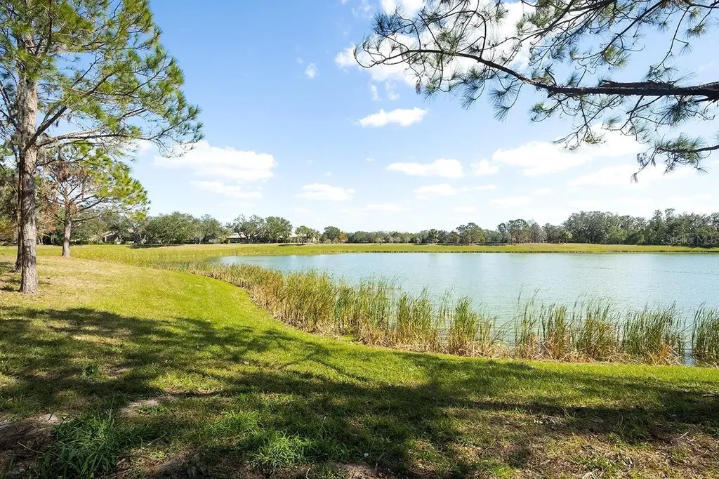 3707 Wild Blossom Place Parrish FL 34219