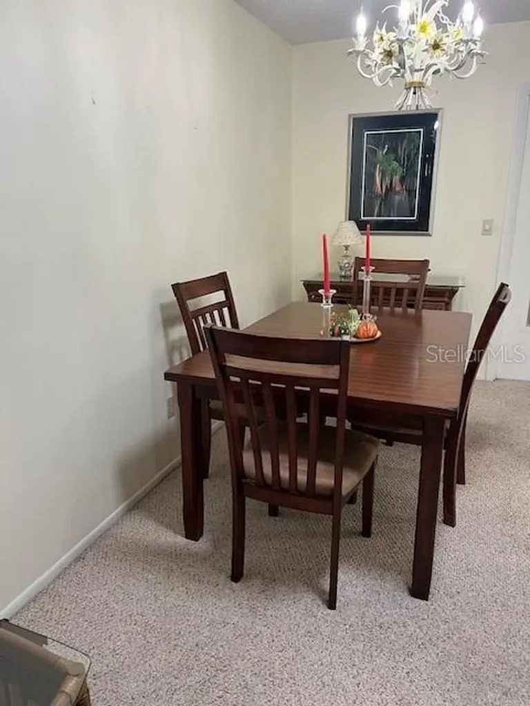 2842 Highlands Boulevard Palm Harbor FL 34684