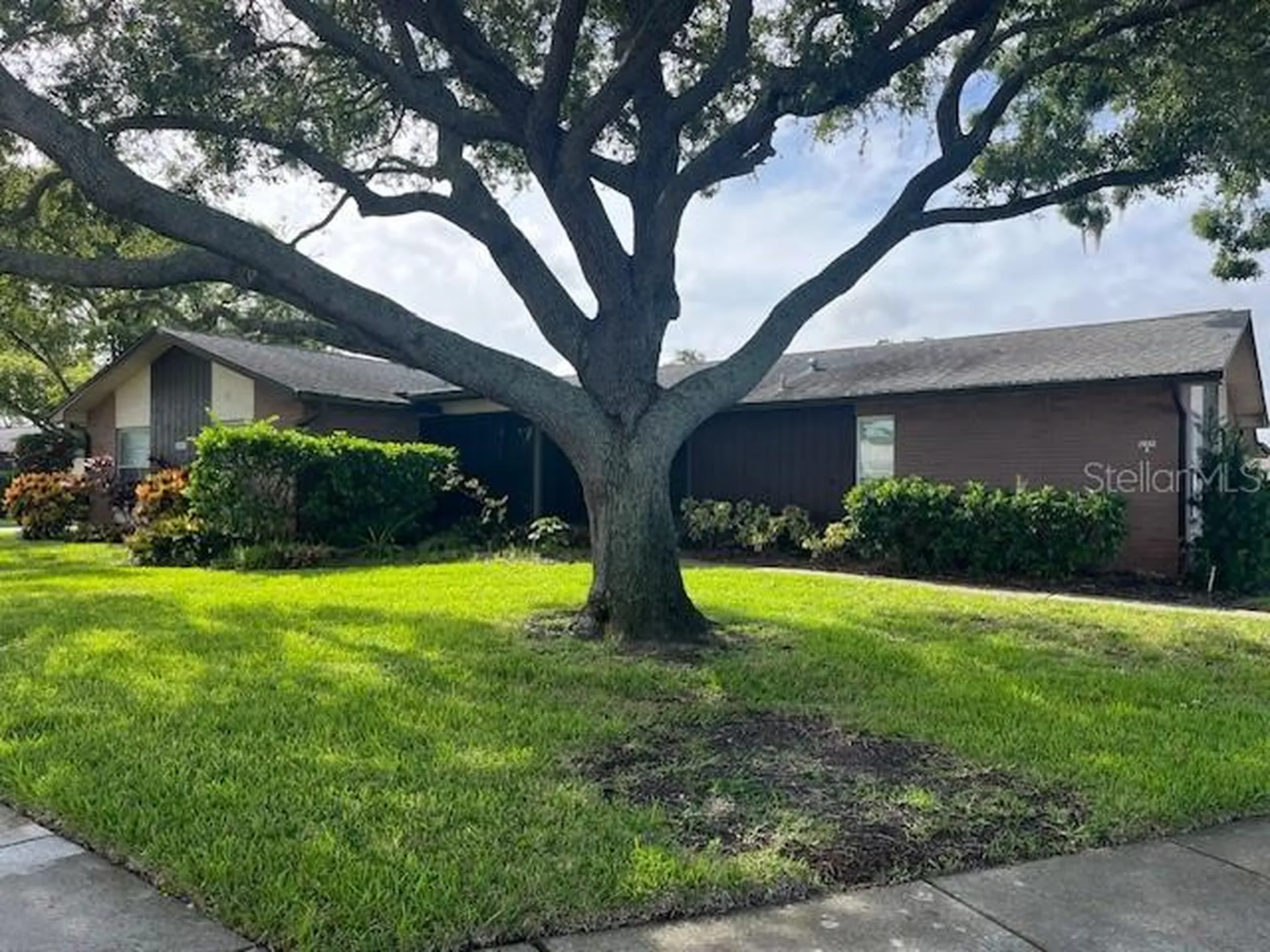 2842 Highlands Boulevard Palm Harbor FL 34684