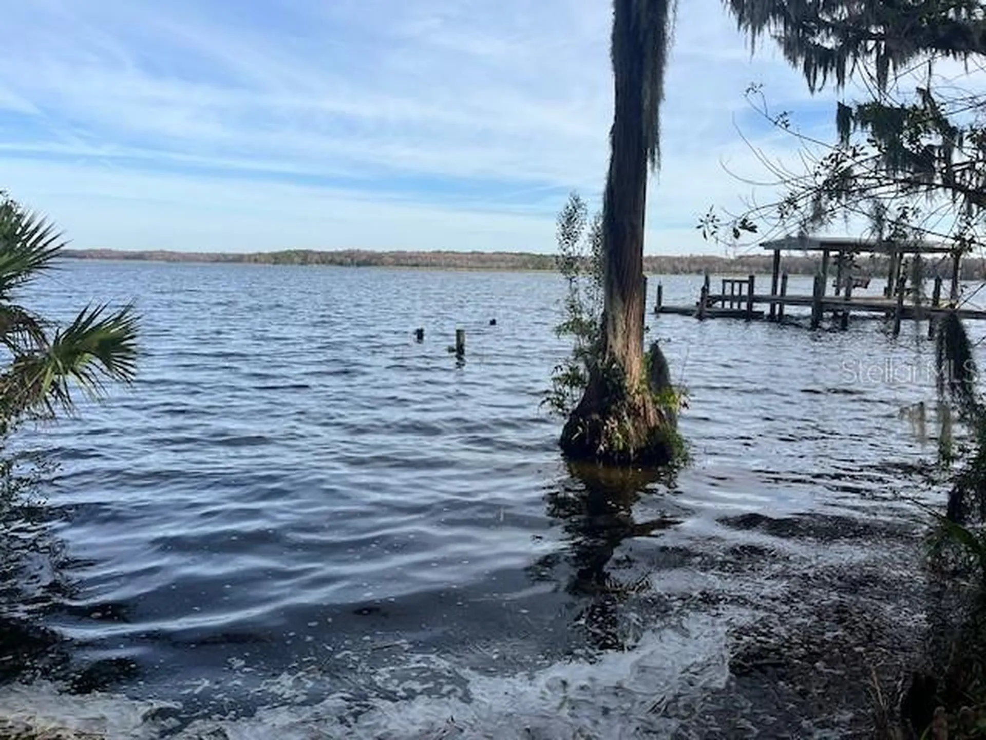 2842 Highlands Boulevard Palm Harbor FL 34684