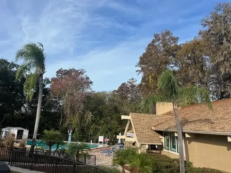 2842 Highlands Boulevard Palm Harbor FL 34684