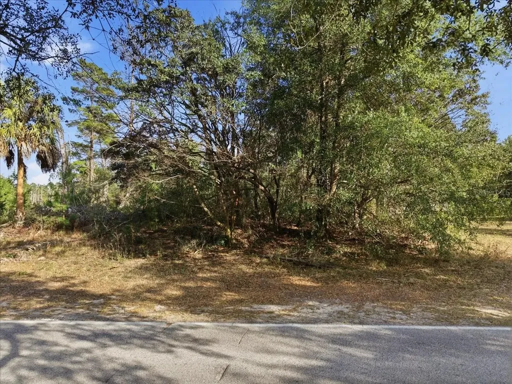 118 Oak Village Boulevard Homosassa FL 34446