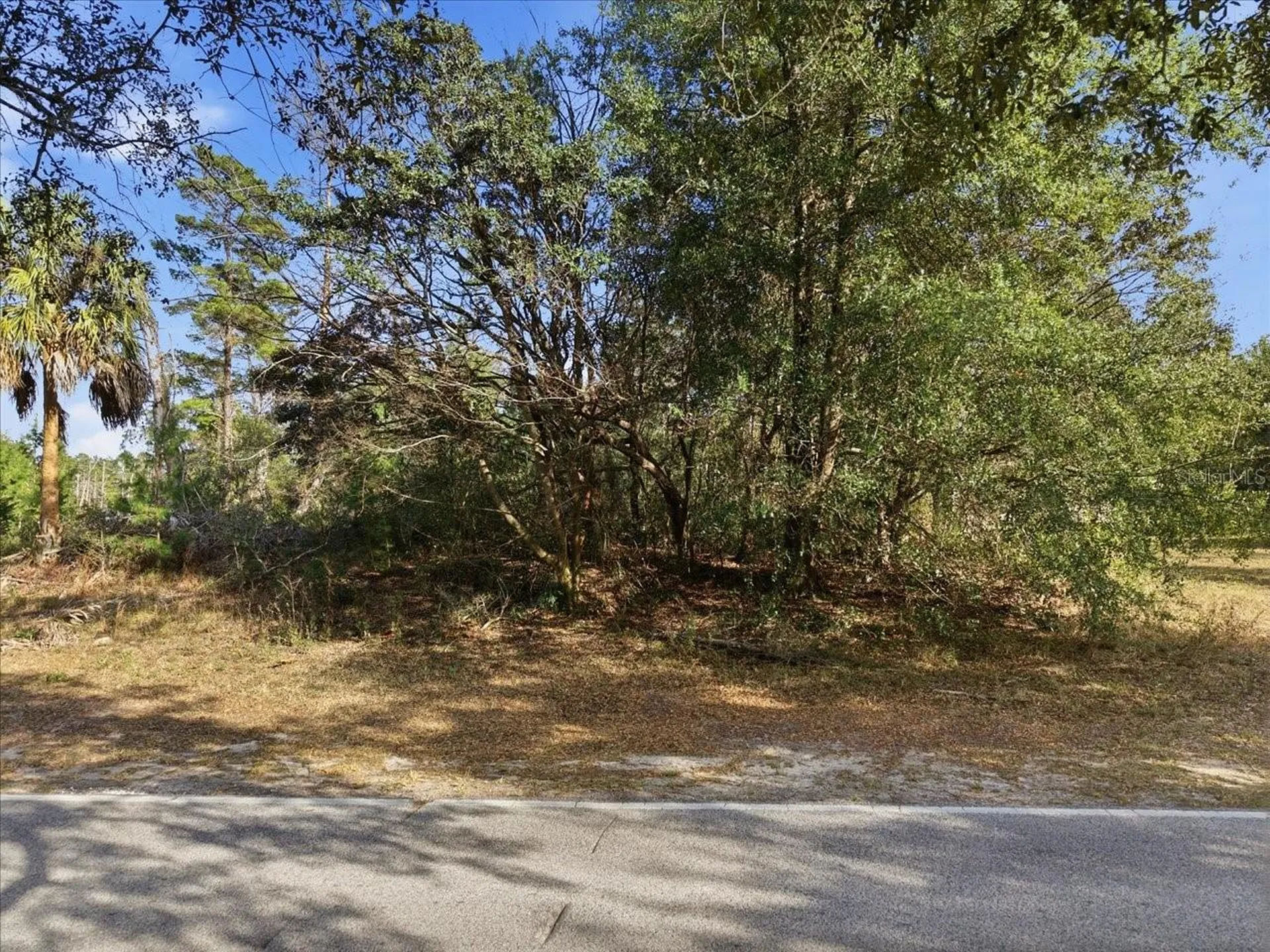118 Oak Village Boulevard Homosassa FL 34446