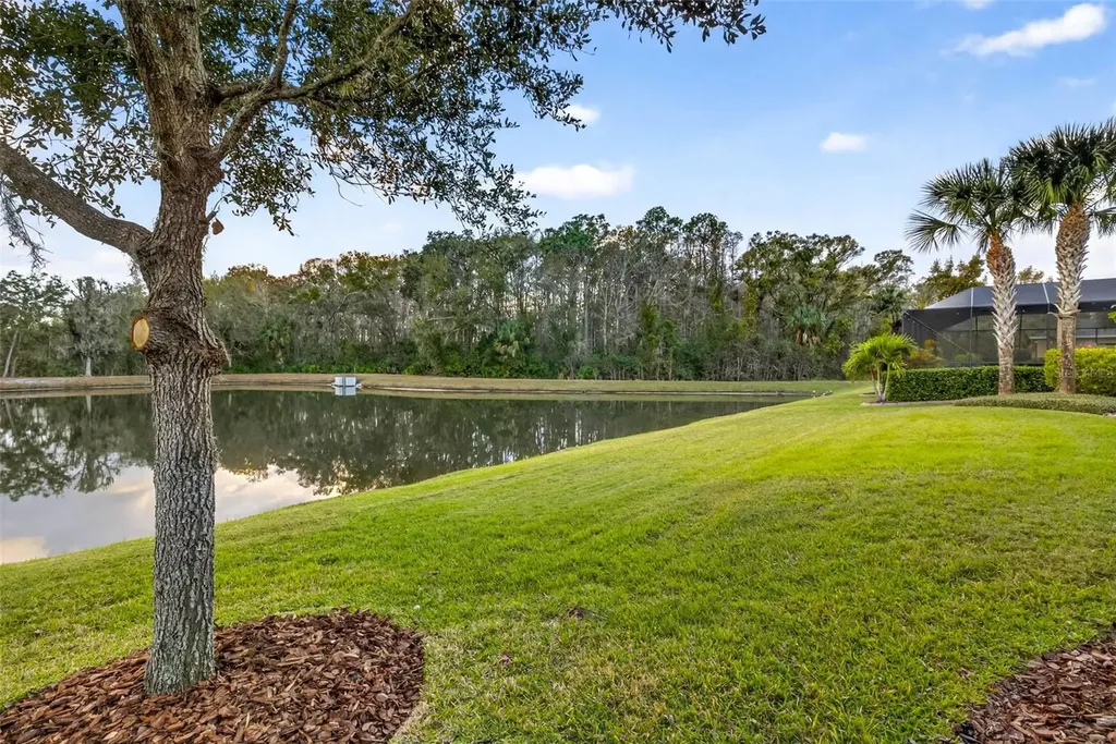 27020 Evergreen Chase Drive Wesley Chapel FL 33544