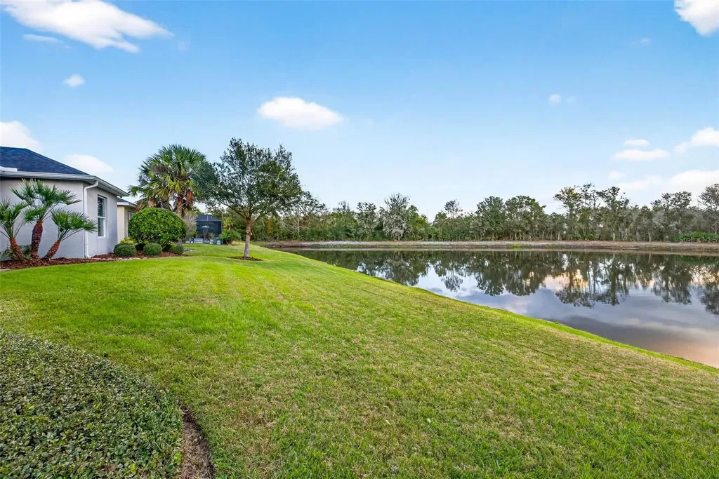 27020 Evergreen Chase Drive Wesley Chapel FL 33544